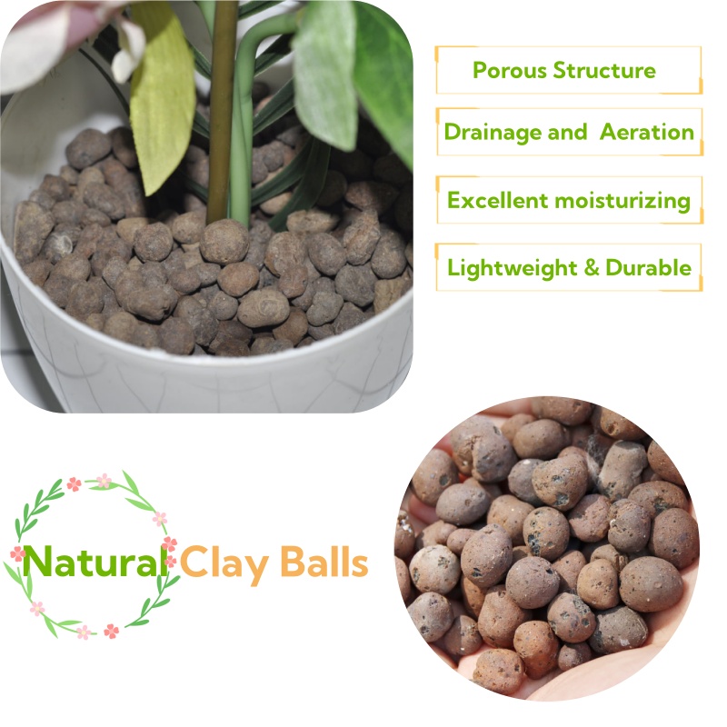 2L/1L Organische Tonkugeln, Bl – Clay Pebble Growing Bewertung und Preis