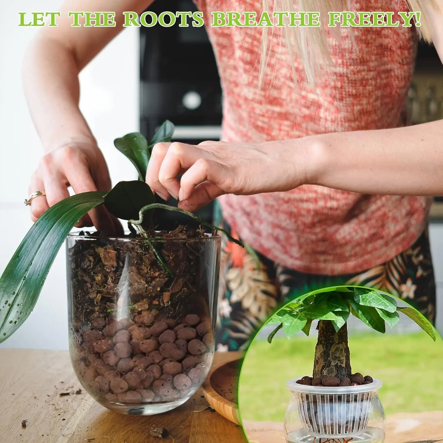 1 l natürliche erweiterte Tonk – Clay Pebble Growing Bewertung und Preis