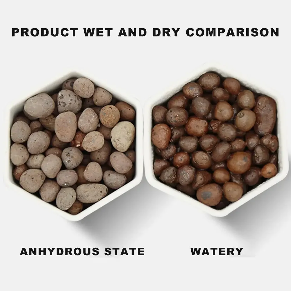 1 l natürliche erweiterte Tonk – Clay Pebble Growing Bewertung und Preis