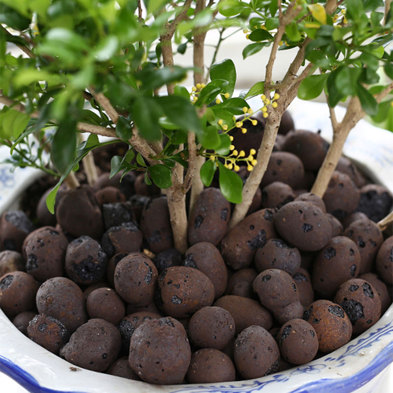 500g Organic light blähtonbeto – Clay Pebble Growing Bewertung und Preis