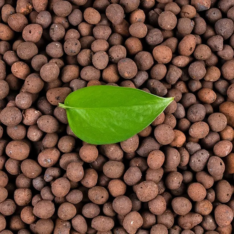 1 Pfund wiederverwendbare Hydr – Clay Pebble Growing Bewertung und Preis
